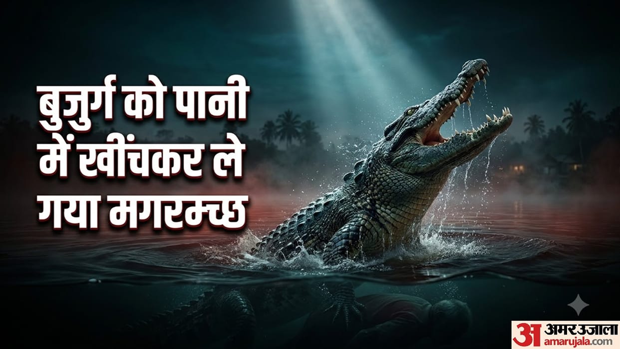 Elderly Man Feared Dragged Away By Crocodile In Odisha River