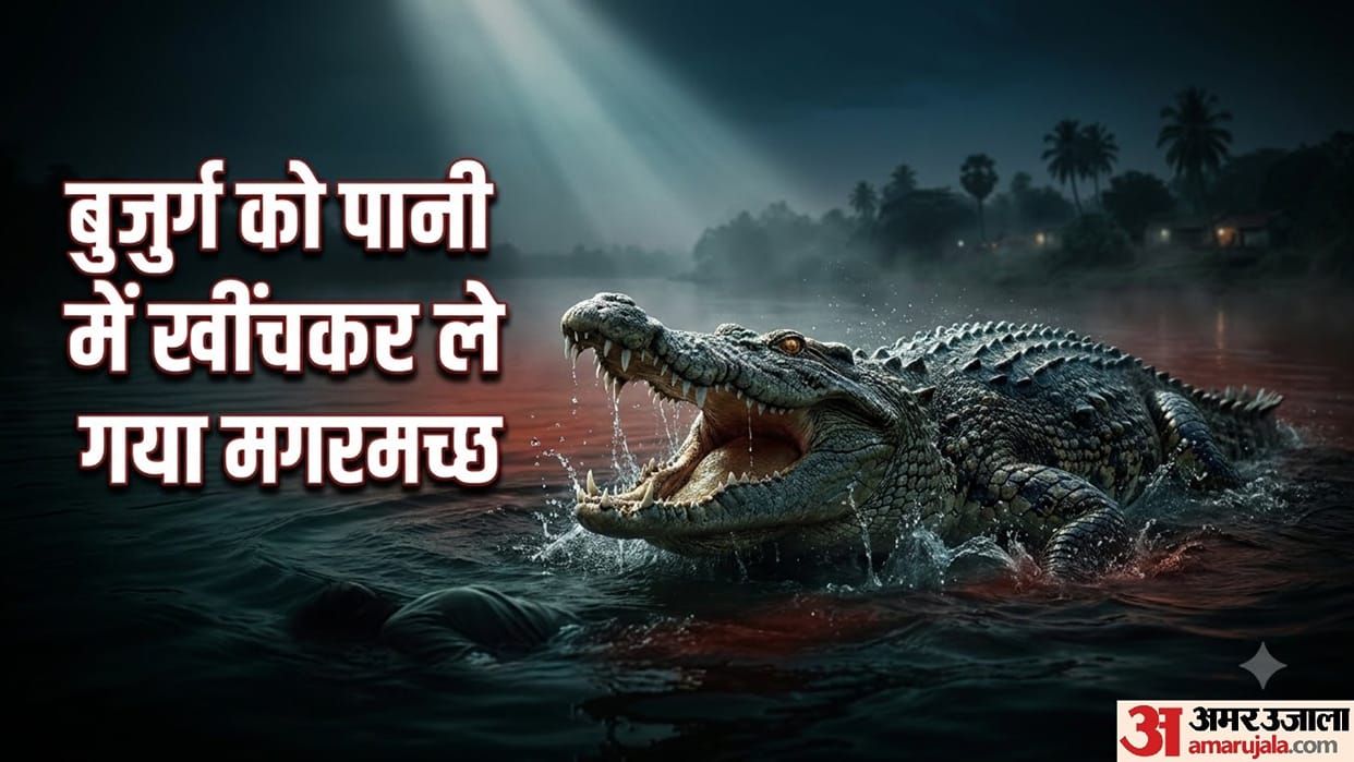 Elderly Man Feared Dragged Away By Crocodile In Odisha River