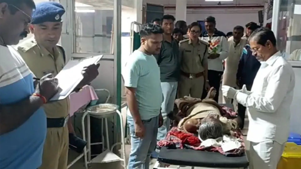 बांदा: भैंस चराने गए वृद्ध पर बाघ का हमला, साथियों की सूझबूझ से बची जान