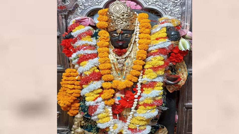 Navratri 2026: The 150-year-old Kali Mathiya temple offers 24-hour access for darshan of the Goddess