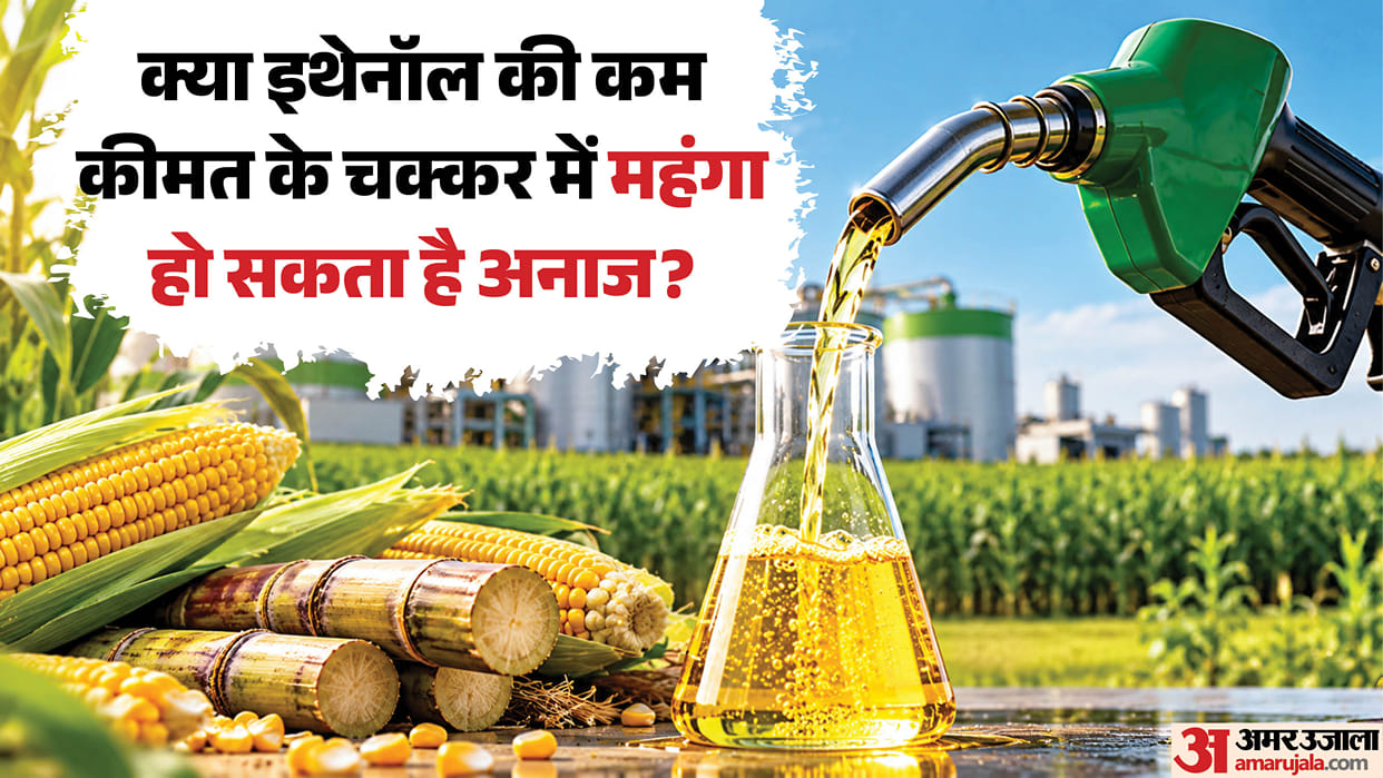 Ethanol Procurement Policy: Is India Ignoring Maize Farmers to Buy Cheaper New Tender Raises Questions