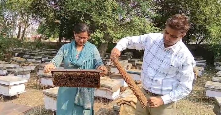 हर साल 45 करोड़ का कारोबार: इस जिले के किसानों की बदली किस्मत, मोटी कमाई का ऐसा नुस्खा; बेरोजगार जरूर पढ़ें