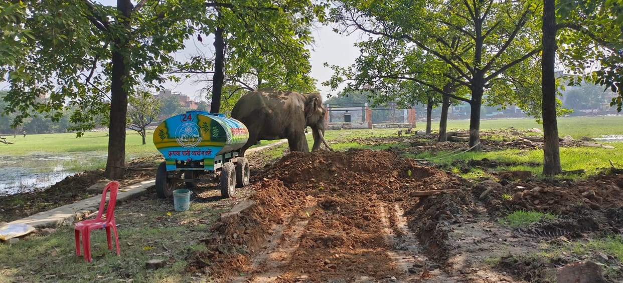 Varanasi: No permission was obtained for the use of an elephant in the Ramnagar Ramlila