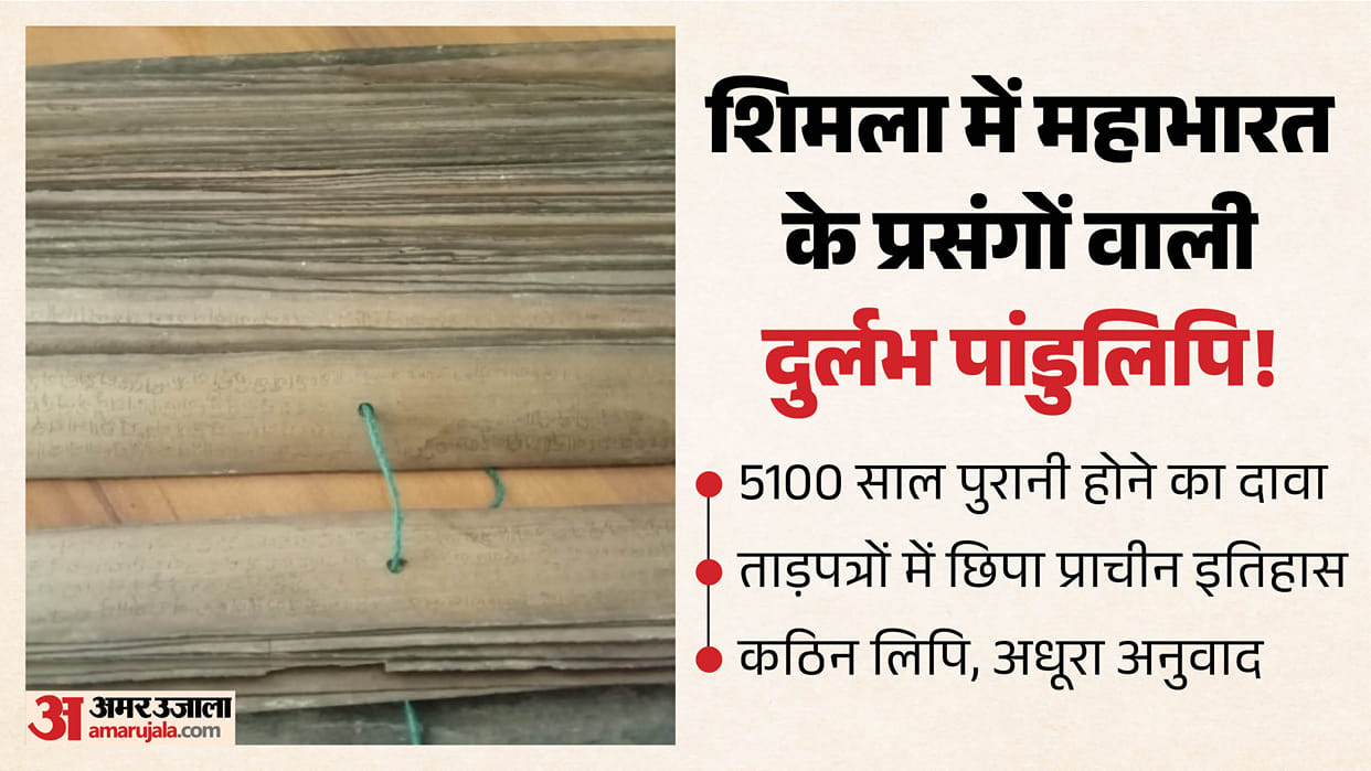 Mukti Ram Ancient Palm Leaf Manuscript Mahabharata Shimla