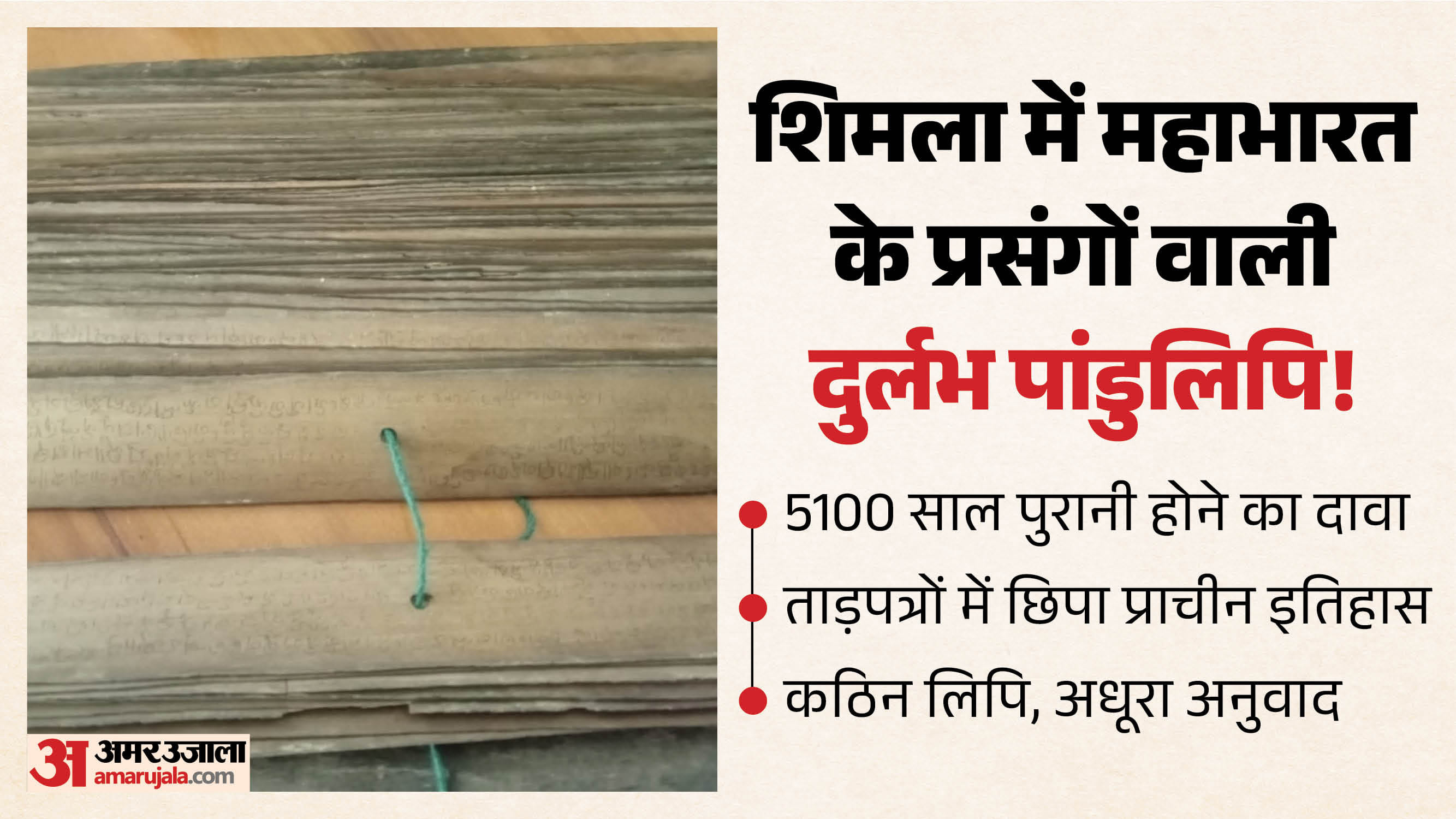 शिमला में एडवांस्ड स्टडी में रखी गईं पांडुलिपियां।