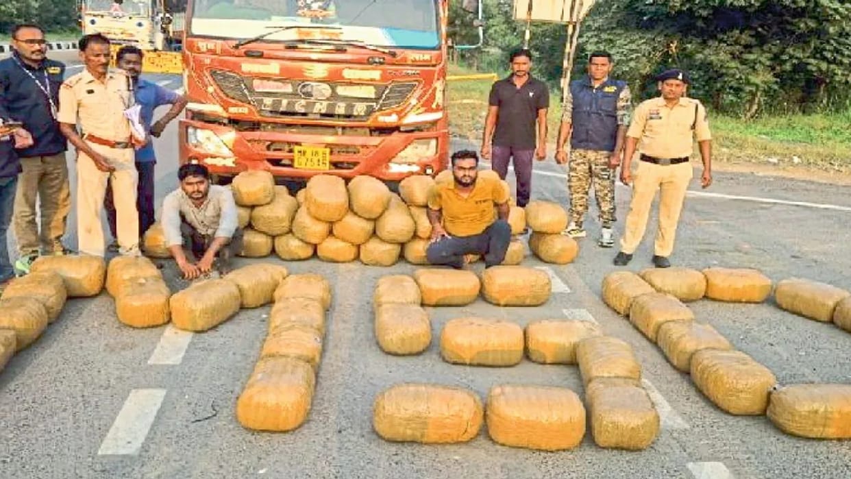 Mahasamund News: 100 quintals cannabis worth ₹50 crore seized, 501 accused arrested