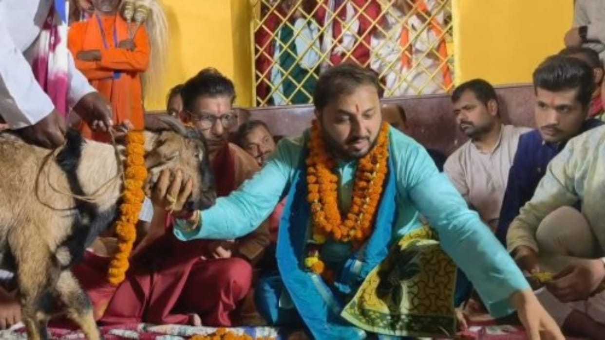 Bastar Dussehra: 12 Goats Sacrificed in 618-Year-Old Nisha Jatra Ritual; Mavli Parghav Next