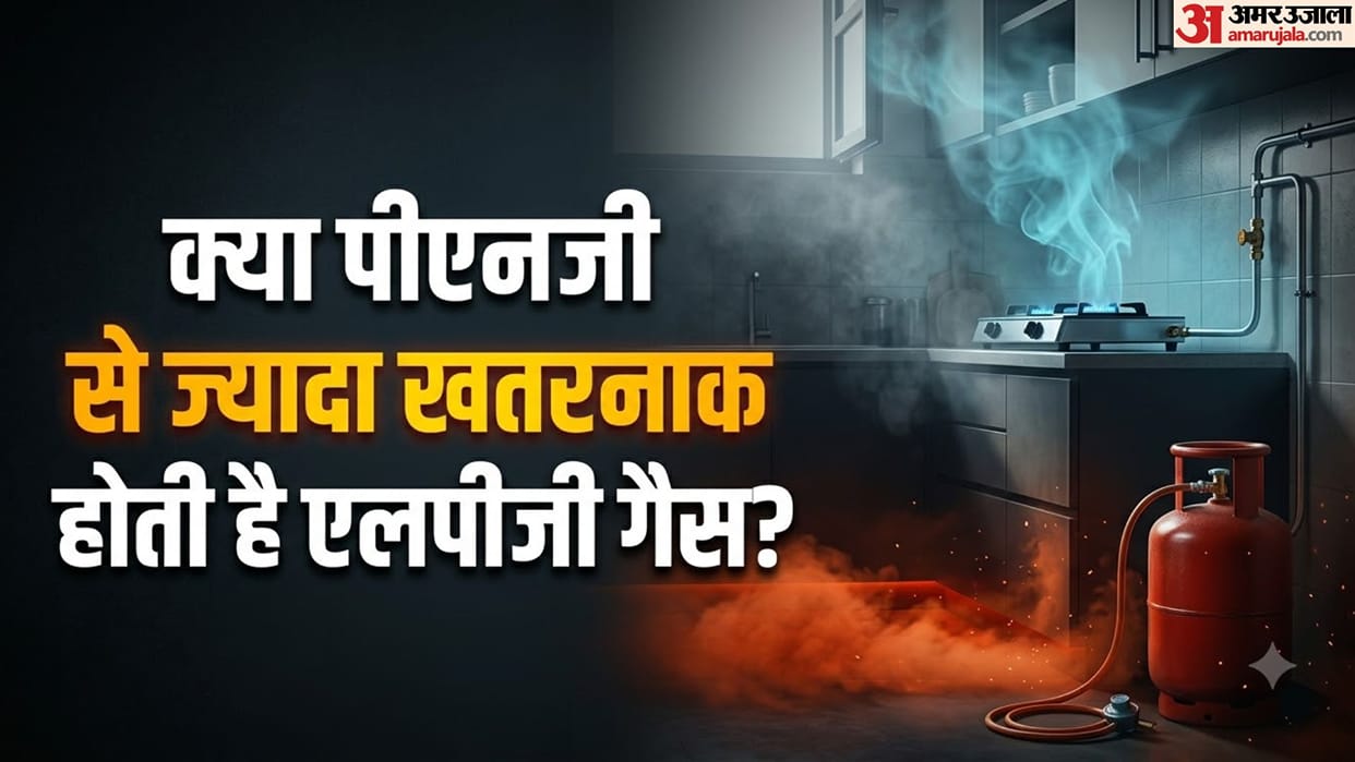 LPG vs PNG: Which Kitchen Gas Is More Flammable and Dangerous? Know the Key Differences