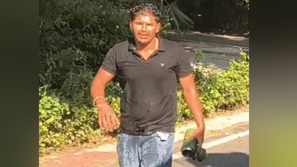 Meerut: Honeybee attack at Circuit House; a young man collapses after being stung dozens of times, admitted to