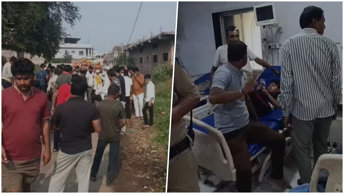 देवास: जवारे विसर्जन के दौरान जुलूस में बैंड-बाजे बजते ही टूटीं मधुमक्खियां, अफरा-तफरी के बीच 15 लोग घायल