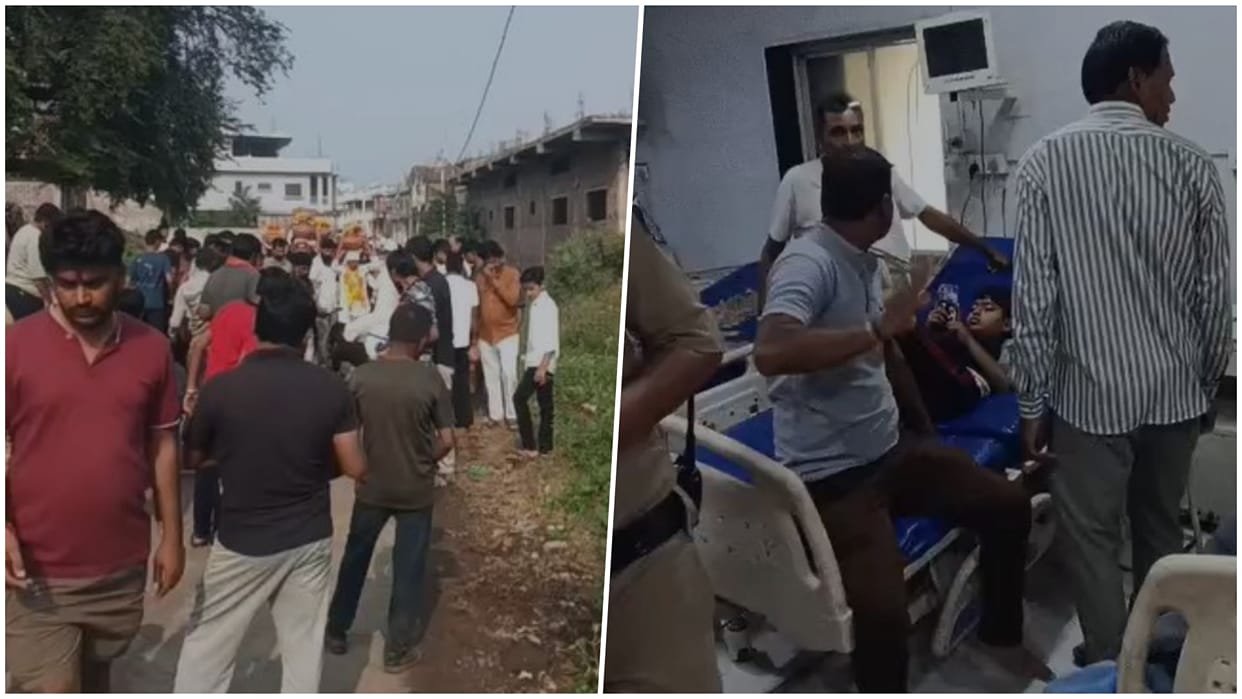 Dewas: Bee Attack During Navratri Jawara Immersion Procession Injures 10–15 People, Panic Grips Village