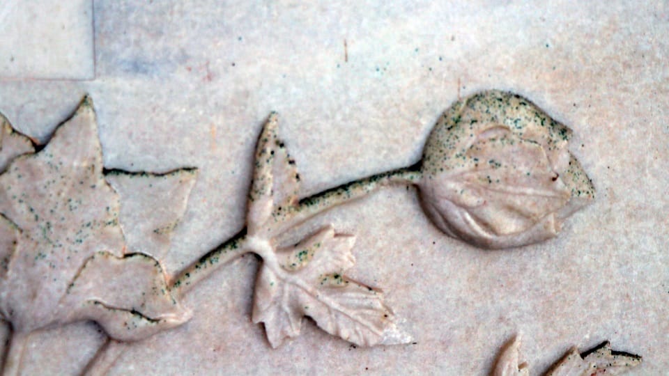 Taj Mahal Marble Stained Green as Yamuna Pollution Fuels Insect Attack