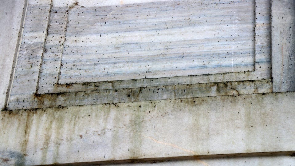 Taj Mahal Marble Stained Green as Yamuna Pollution Fuels Insect Attack