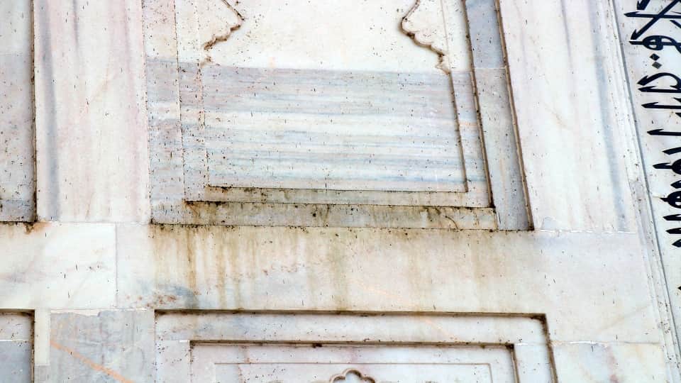 Taj Mahal Marble Stained Green as Yamuna Pollution Fuels Insect Attack