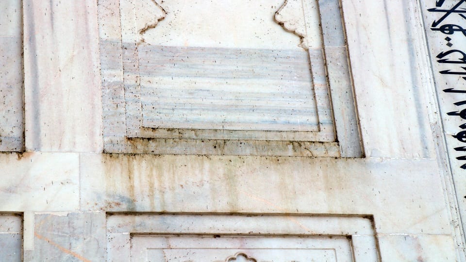 Taj Mahal Marble Stained Green as Yamuna Pollution Fuels Insect Attack