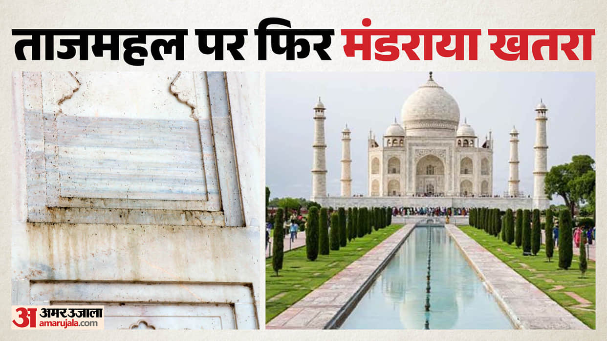 Taj Mahal Marble Stained Green as Yamuna Pollution Fuels Insect Attack