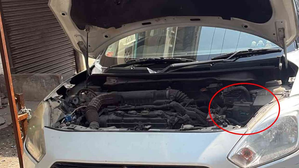 Thieves emboldened in Shalimar Garden