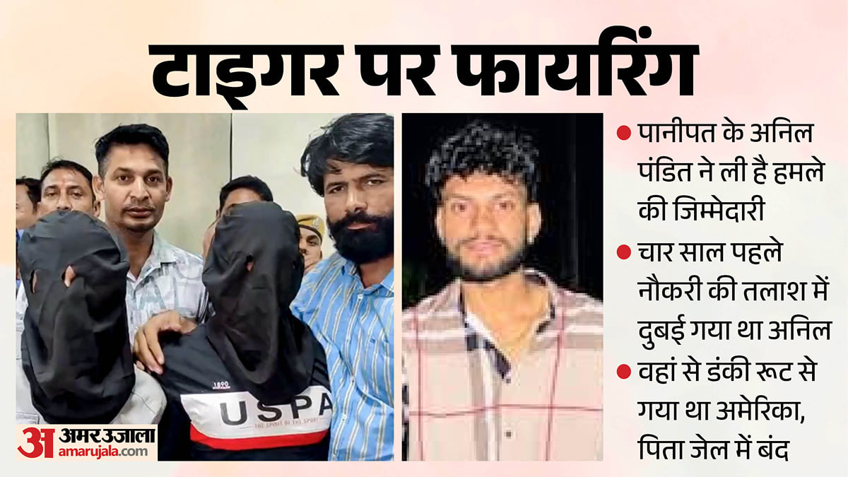 टाइगर श्रॉफ पर हमला: पानीपत का रहने वाला है अनिल पंडित, पहले दुबई, फिर वहां से डंकी रूट से गया था अमेरिका