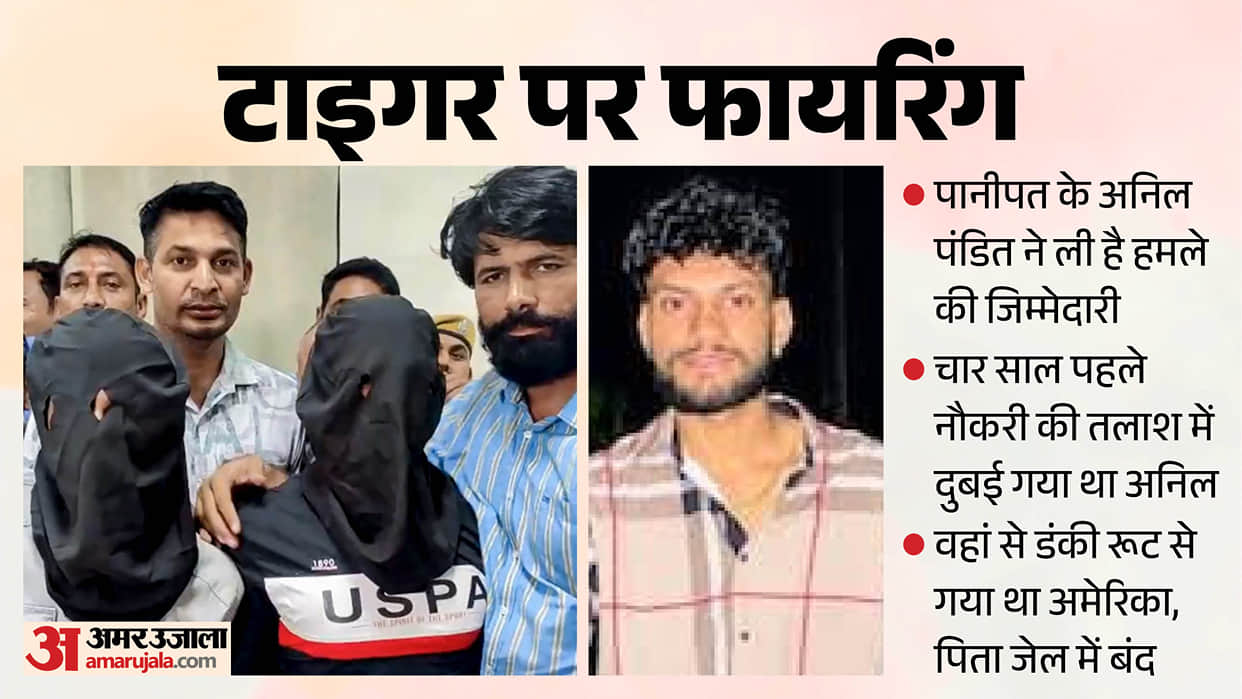 Tiger Shroff Firing: Panipat's Anil Pandit Allegedly Reached US via Dubai and Donkey Route