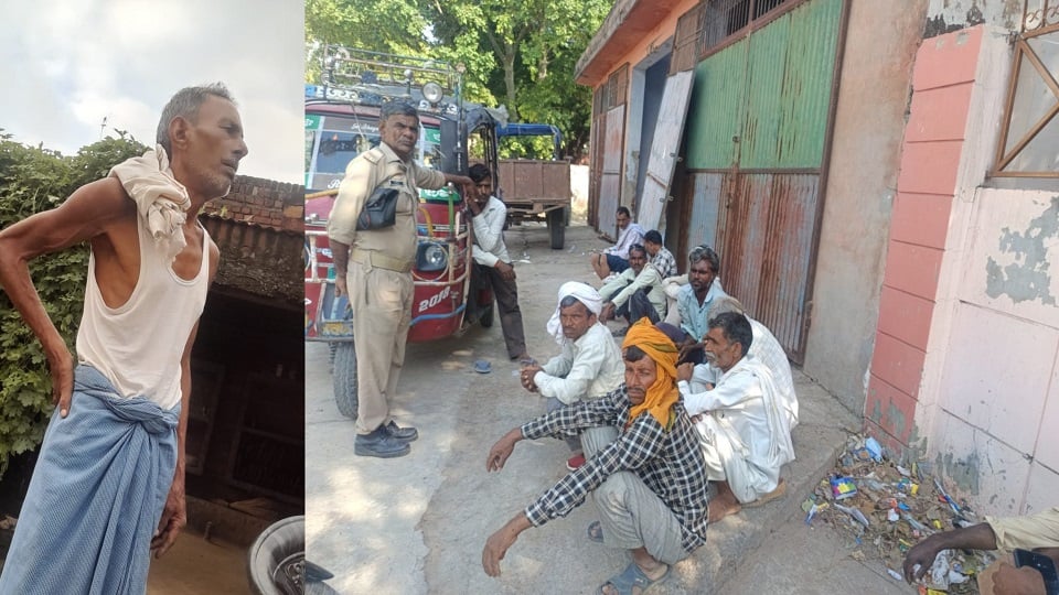 किसान की दर्दनाक माैत: खेत की रखवाली कर रहे बुजुर्ग पर नीलगाय का हमला, सींगों से गोदकर ली जान