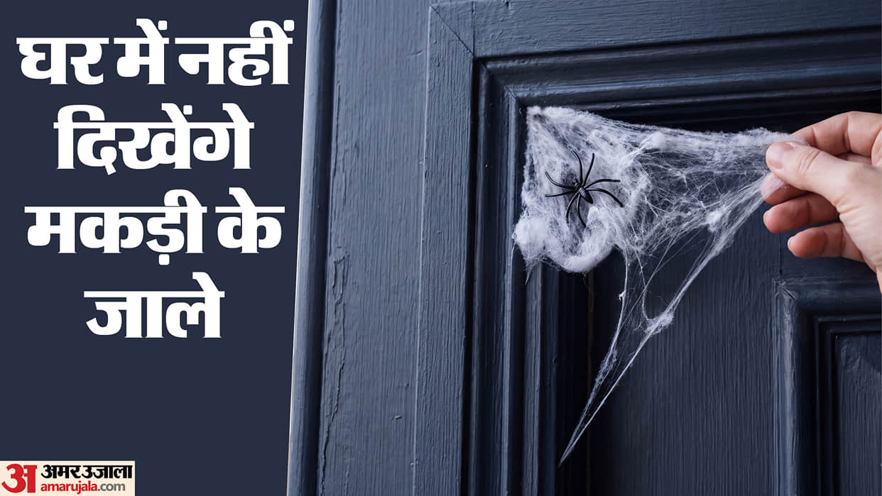 How to get rid of spiders from home ghar se makdi bhagane ke upay