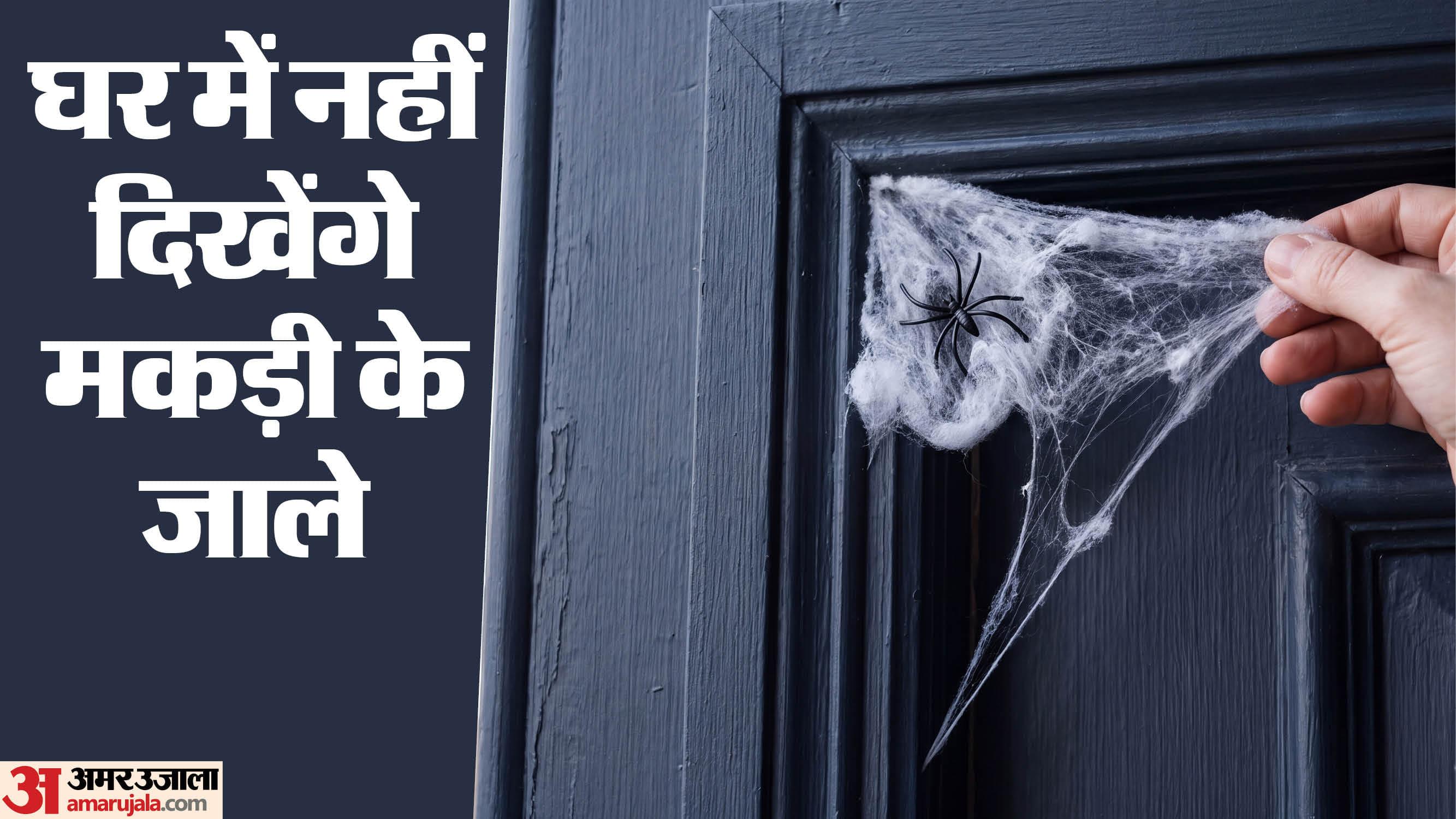 मकड़ी के जाले साफ करने के टिप्स