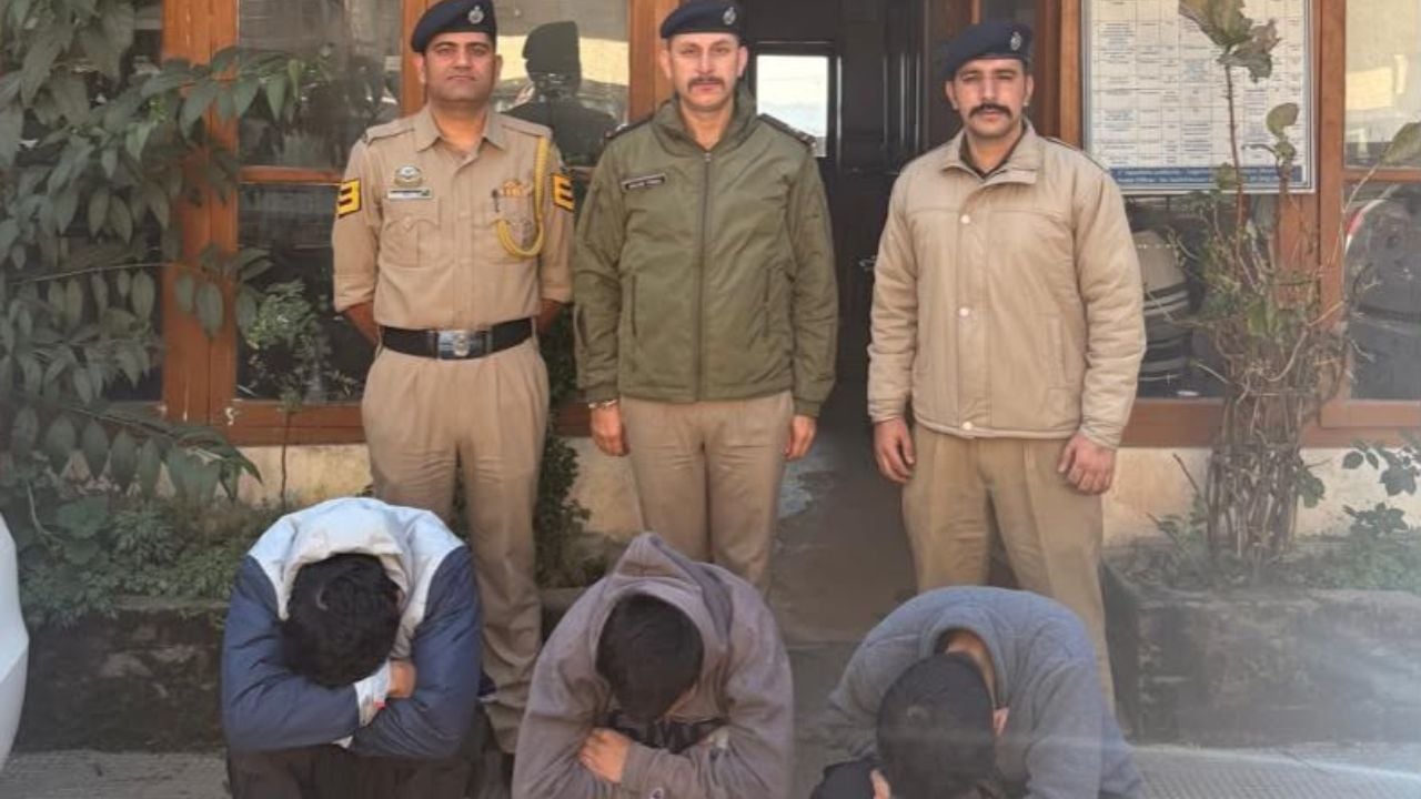 shimla shoghi 36 gram chitta case three arrested