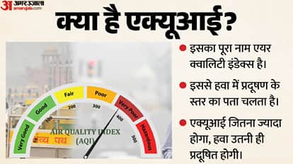 Explainer: Delhi-NCR AQI Rises as Winter Approaches: What New Restrictions Has the Government Introduced?