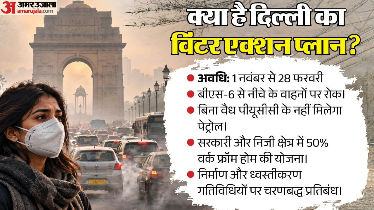 दिल्ली सरकार का विंटर एक्शन प्लान