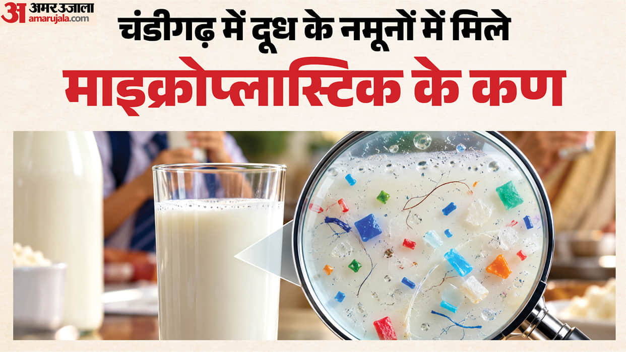 milk we drink daily contains plastic PU research reveals raising questions about purity of milk