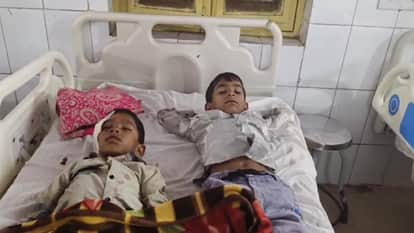Passenger bus collided with tree, many killed, many injured; see photos of the accident here in Manendragarh