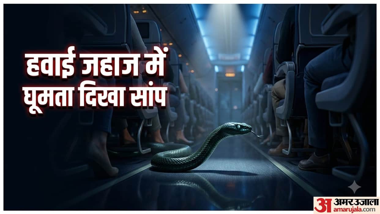 japan air commuter flight cancelled snake found under cabin carpet viral news in hindi