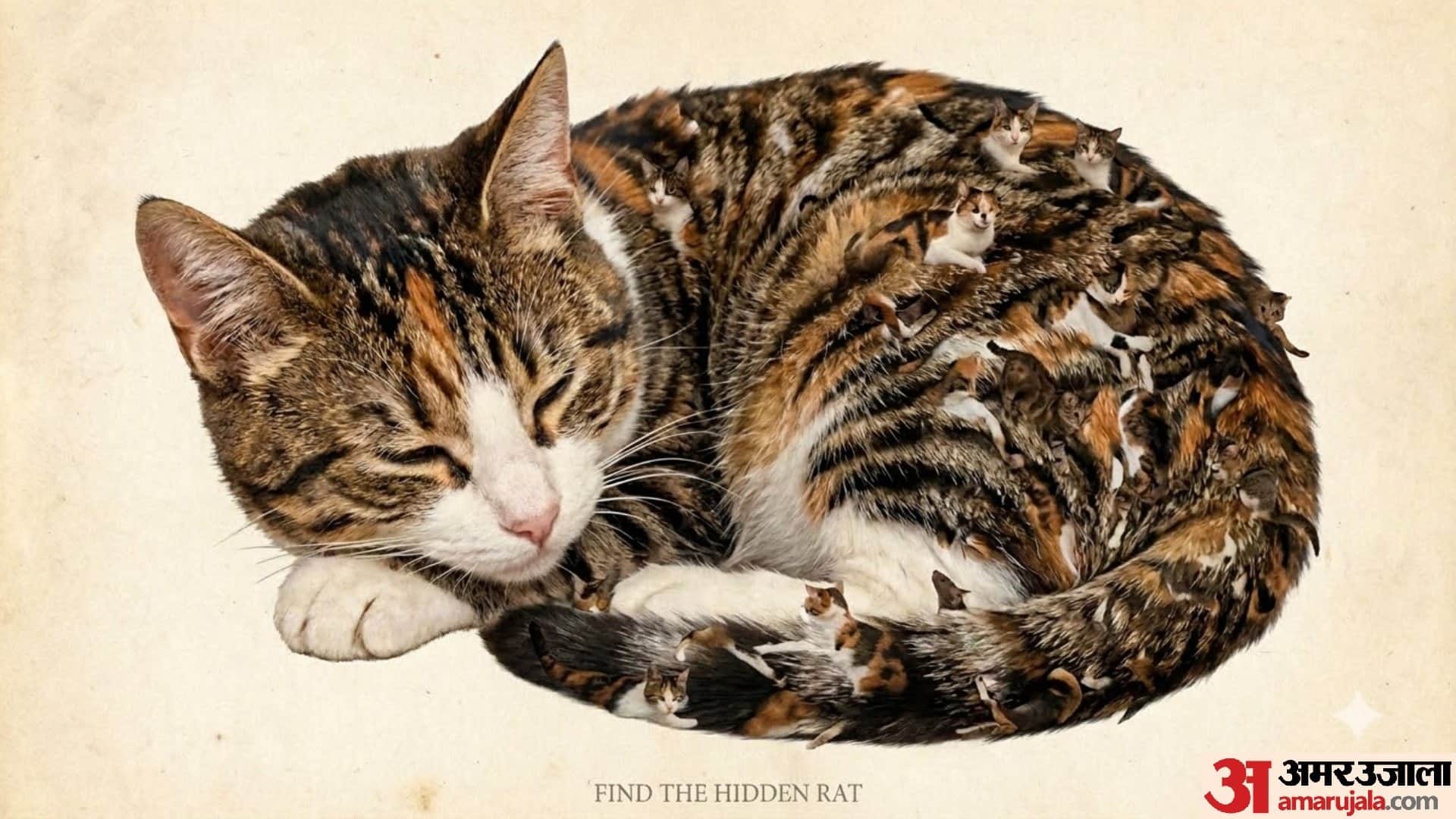 Optical Illusion Iq Test Brain Test If You Have Hawk Eyes then Find Rat in 15 Seconds