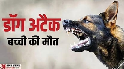 रतलाम में कुत्ते के हमले में बच्ची की मौत हो गई।