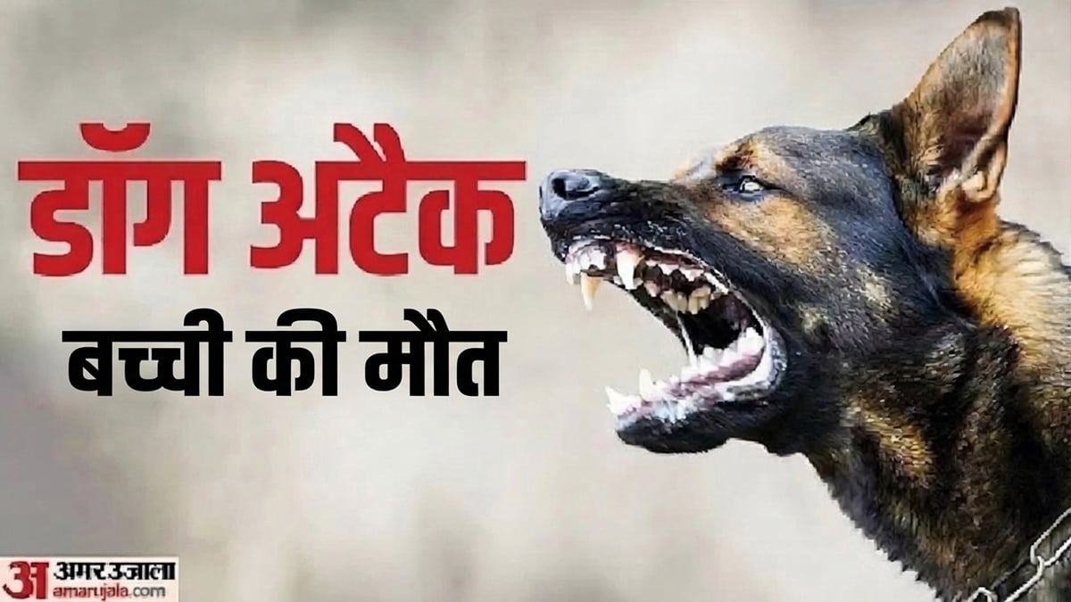 कुत्ते ने ली जान: आंगन में खेल रही तीन वर्षीय बालिका पर कुत्ते का जानेलवा हमला, बुरी तरह नोंचा; मासूम की मौत