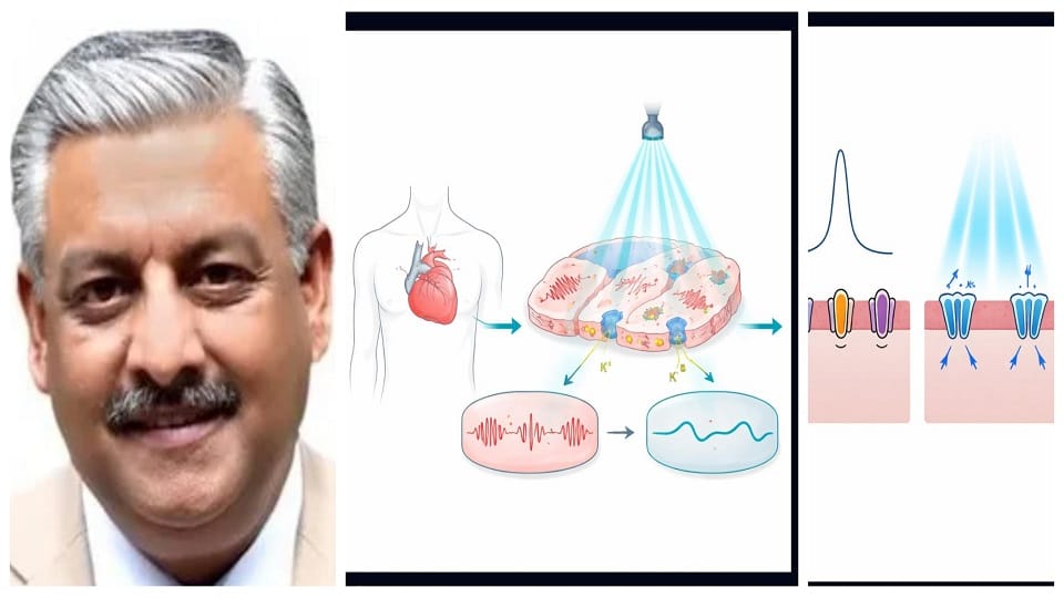 Scientists Explore Restoring Vision and Controlling Heart Rhythm Using Light-Sensitive Proteins
