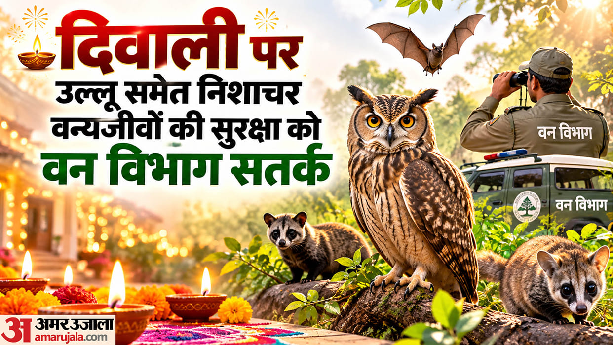 Diwali 2026 uttarakhand forest department issues alert to protect owls and other wildlife