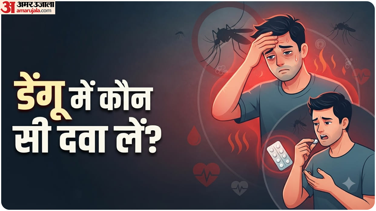 Why Aspirin and Ibuprofen Can Be Risky in Dengue Safe Fever Management During Dengue