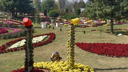JK CM invites tourists, locals to visit Srinagar's Chrysanthemum Garden Srinagar