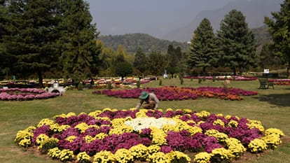 गुलदाउदी गार्डन