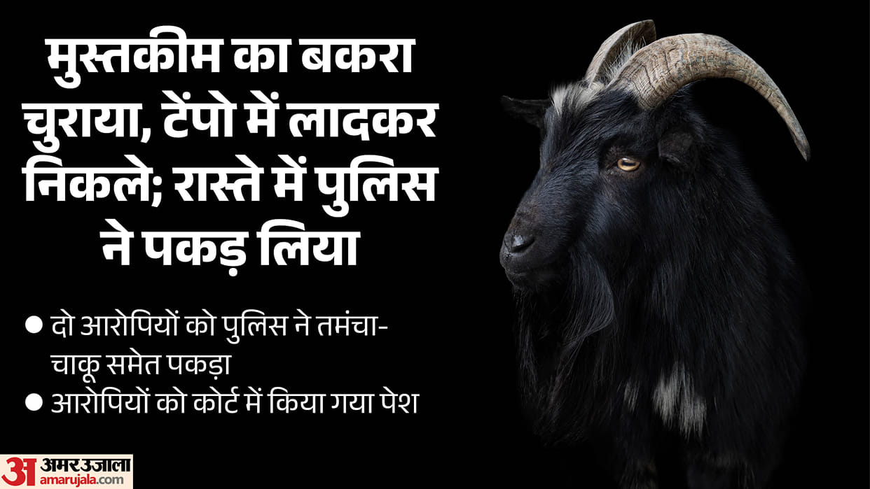 Goat theft case solved: Two accused arrested; firearm, ammunition, and knife recovered