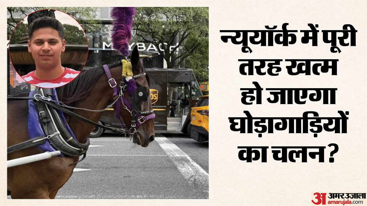 New York City passes bill to ban horse-drawn carriages following death of Indian teen in Central Park
