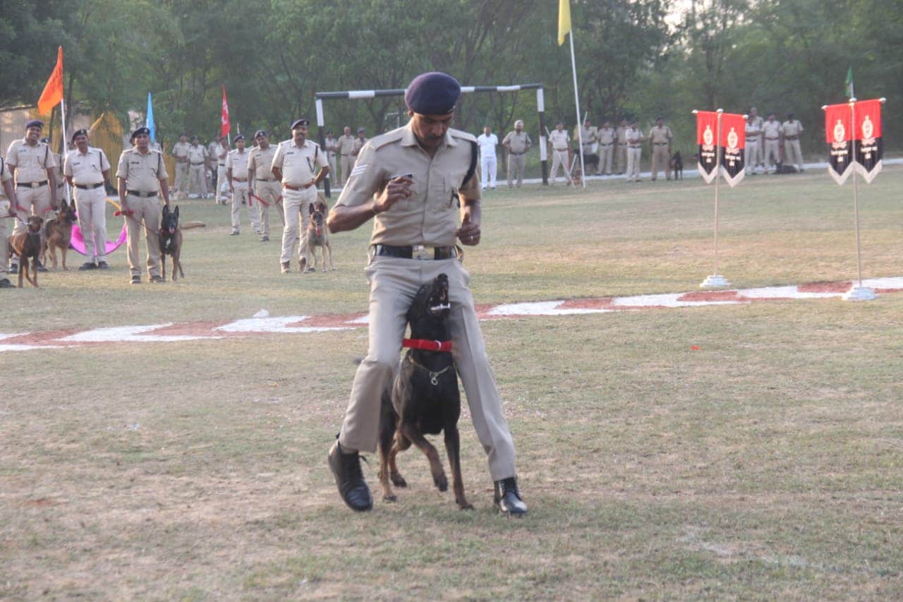 rpf 19th all india railway dog competition 73 trained dogs 17 zones
