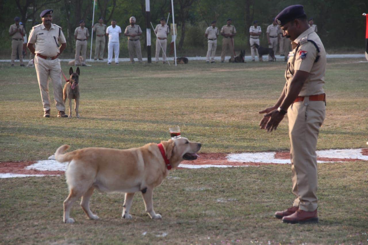 rpf 19th all india railway dog competition 73 trained dogs 17 zones