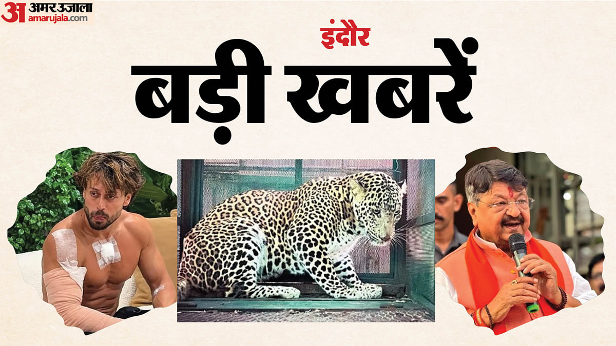 इंदौर की बड़ी खबरेंः टाइगर श्रॉफ केस का आरोपी गिरफ्तार, तेंदुआ पकड़ाया, पुलिस को मिले 20 लाख के मोबाइल