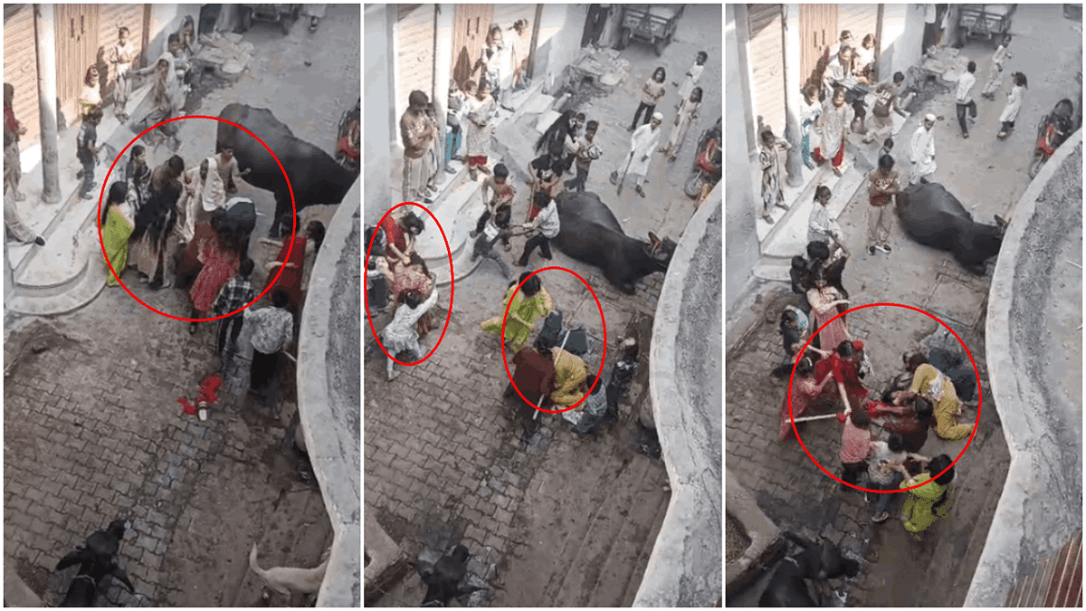 हापुड़ से वीडियो वायरल: बच्चों के विवाद में चले लाठी-डंड़े, पकड़े एक-दूसरे के बाल; दो पक्षों की महिलाएं भिड़ीं