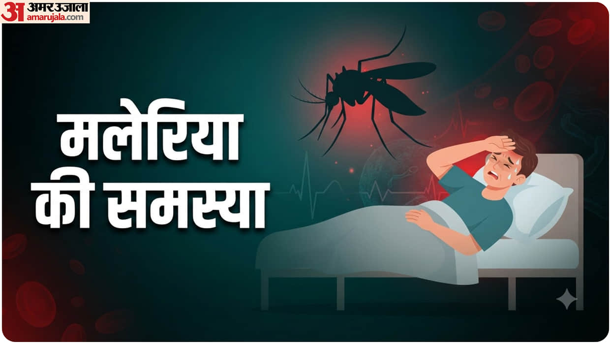 why Untreated Malaria is dangerous How It Can Damage Vital Organs