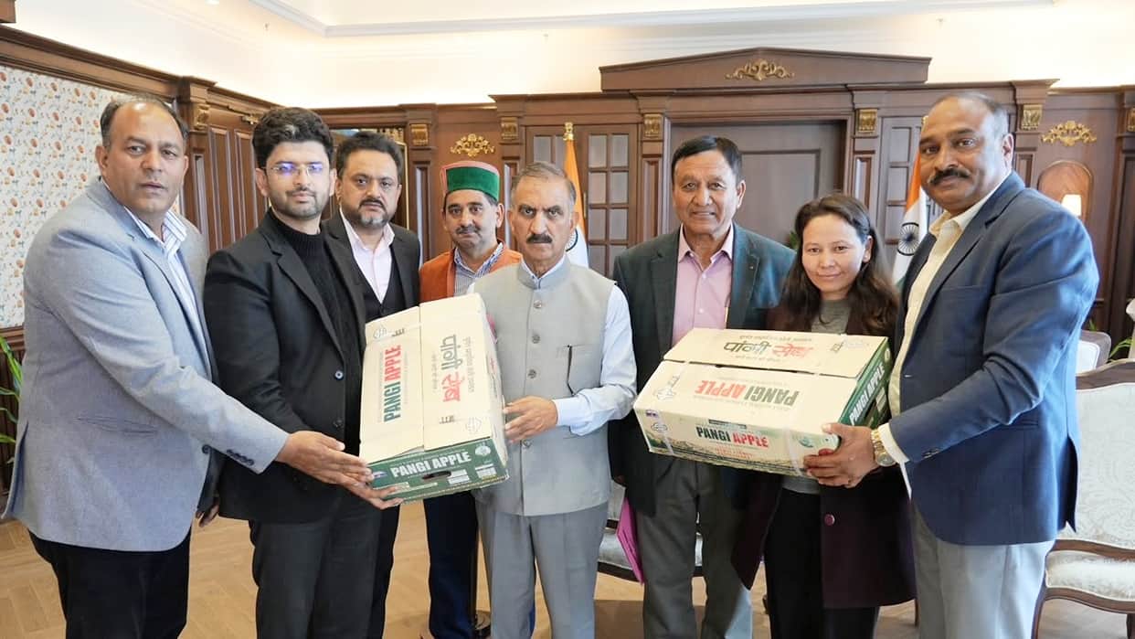 Shimla: 'Pangi Apple' brand to boost the identity of the valley's apples; 50% subsidy on cartons