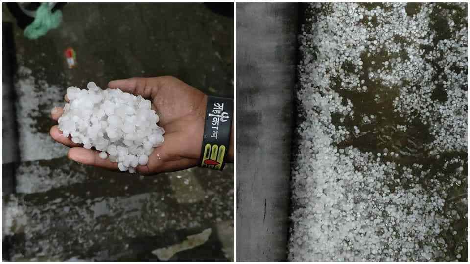Hailstorm in Ratia and Bhiwani Haryana Weather news
