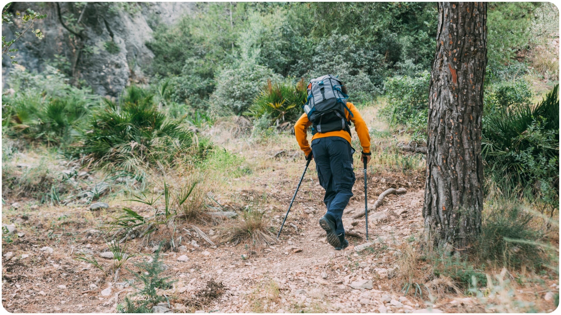 Rucking vs Walking Which Workout Is Better for Your Health